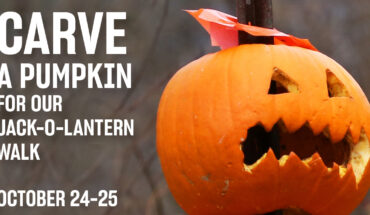 pumpkin carving, mystic seaport museum, halloween happenings