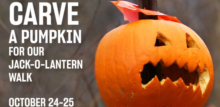 pumpkin carving, mystic seaport museum, halloween happenings